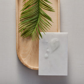 Thymes Frasier Fir liquid soap lather close-up showing gentle cleansing.