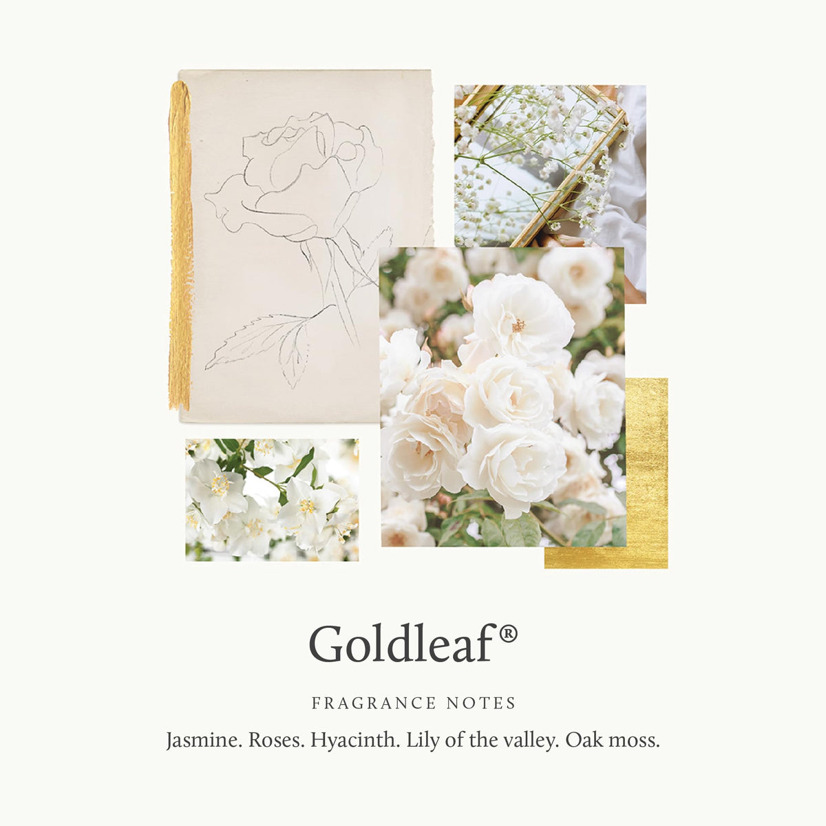 Thymes Goldleaf artisan packaging closeup showcases premium design and nourishing cream texture.