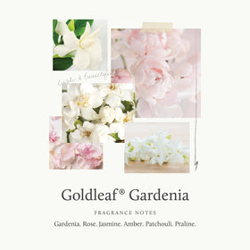 Thymes Goldleaf Gardenia liquid swatch emphasizing creamy, skin-softening texture.