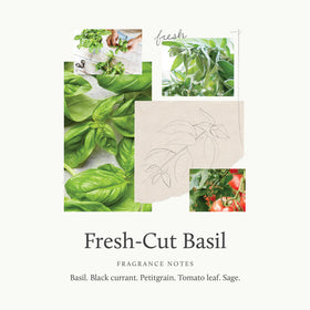 Thymes packaging with Fresh-Cut Basil botanicals conveys premium hand care design.
