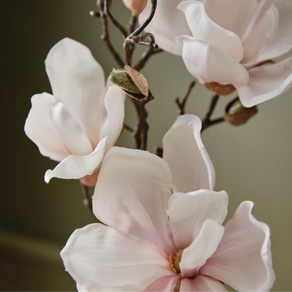 Magnolia Willow fragrance swirls in premium lotion for uplifting scent.
