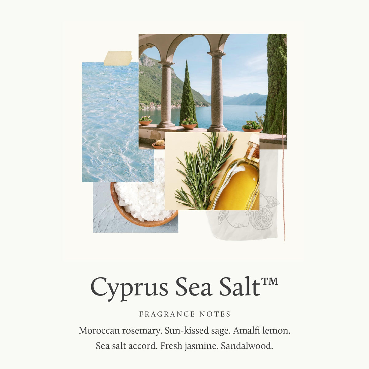 Thymes Mandarin Coriander creamy texture close-up for hydration