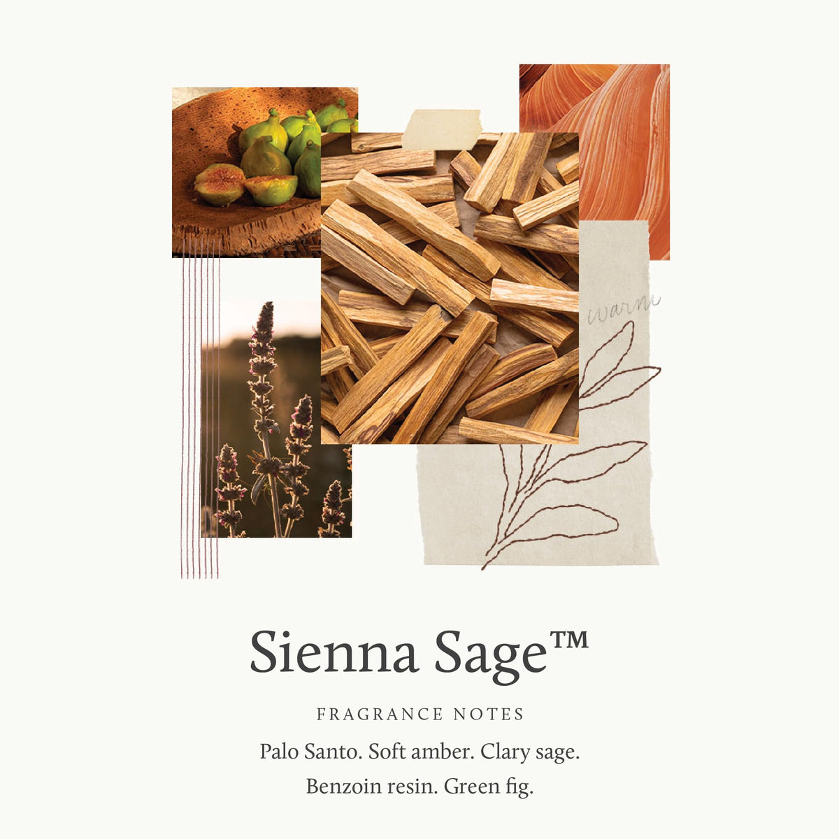 Thymes Siena Sage label close-up emphasizing premium fragrance and branding.