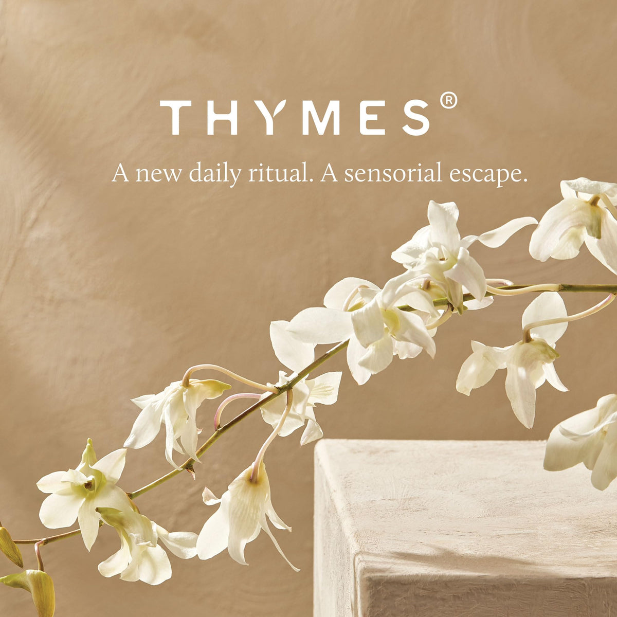 Thymes Nourishing Body Cleanser pairs with Bergamot Nectar Lotion for complete care.