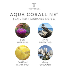 Thymes Pump-dispense-action shows easy, one-handed use in the shower.