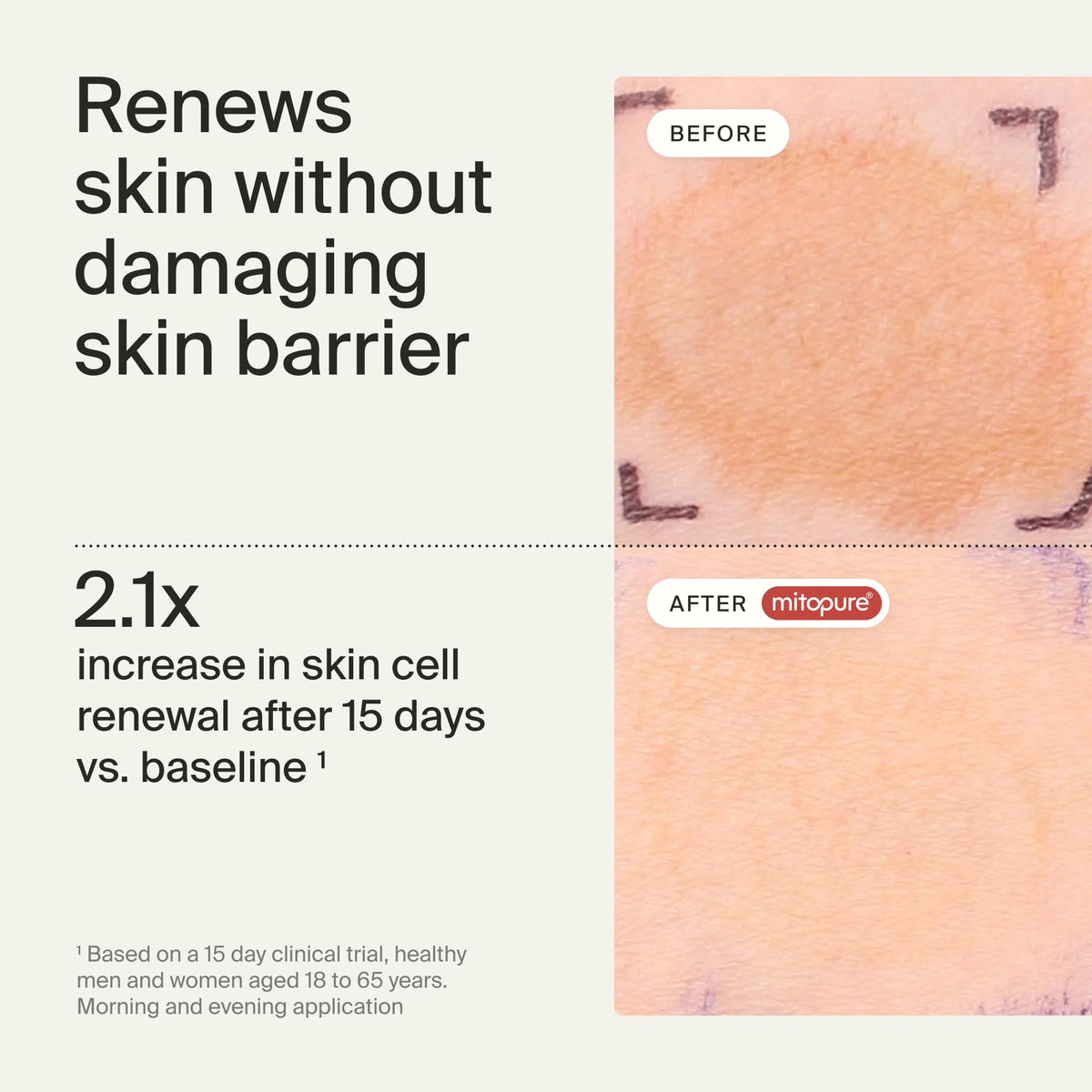 Timeline Mitopure exfoliator application close-up on skin surface