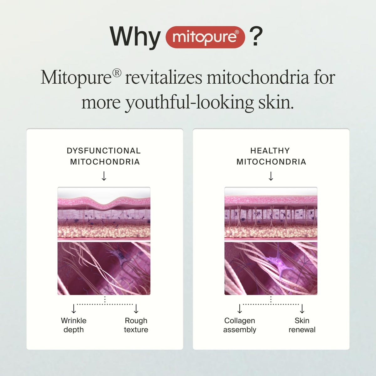 Timeline Mitopure exfoliator serum texture visible on fingertip for gentle exfoliation