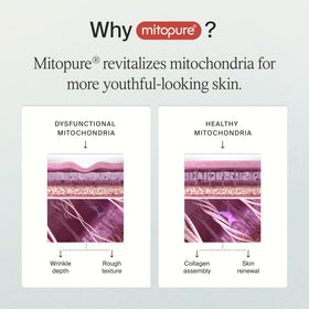 Timeline Mitopure foaming mousse cleanser for thorough, non-drying cleansing.
