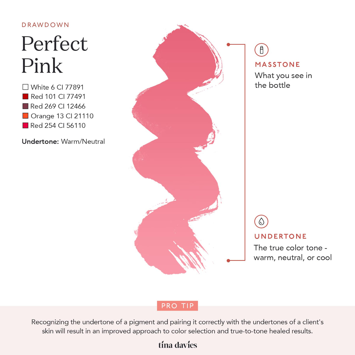 Tina Davies Lust Perfect Pink compact packaging ideal for pro kits