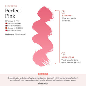 Tina Davies Lust Perfect Pink compact packaging ideal for pro kits