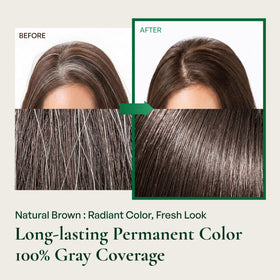 TITAD PPD-free and ammonia-free formula minimizes scalp irritation while coloring.