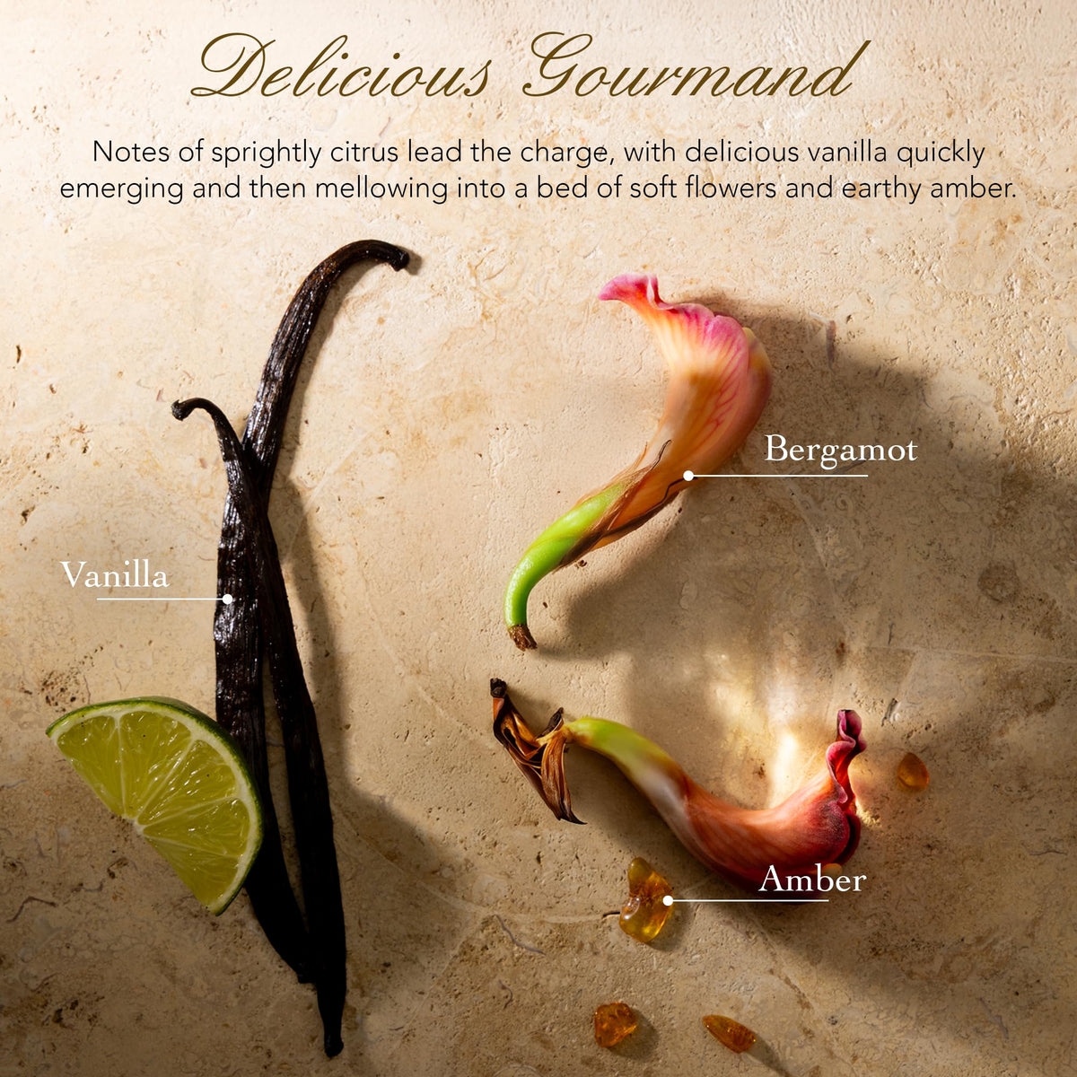 Tocca Laila gourmand fragrance on skin with sweet floral warmth