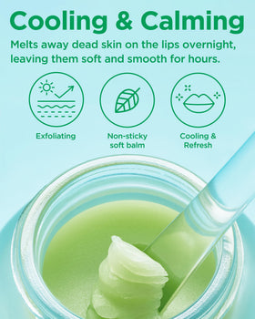 TOCOBO Tea Tree 4-Terpineol provides soothing overnight care