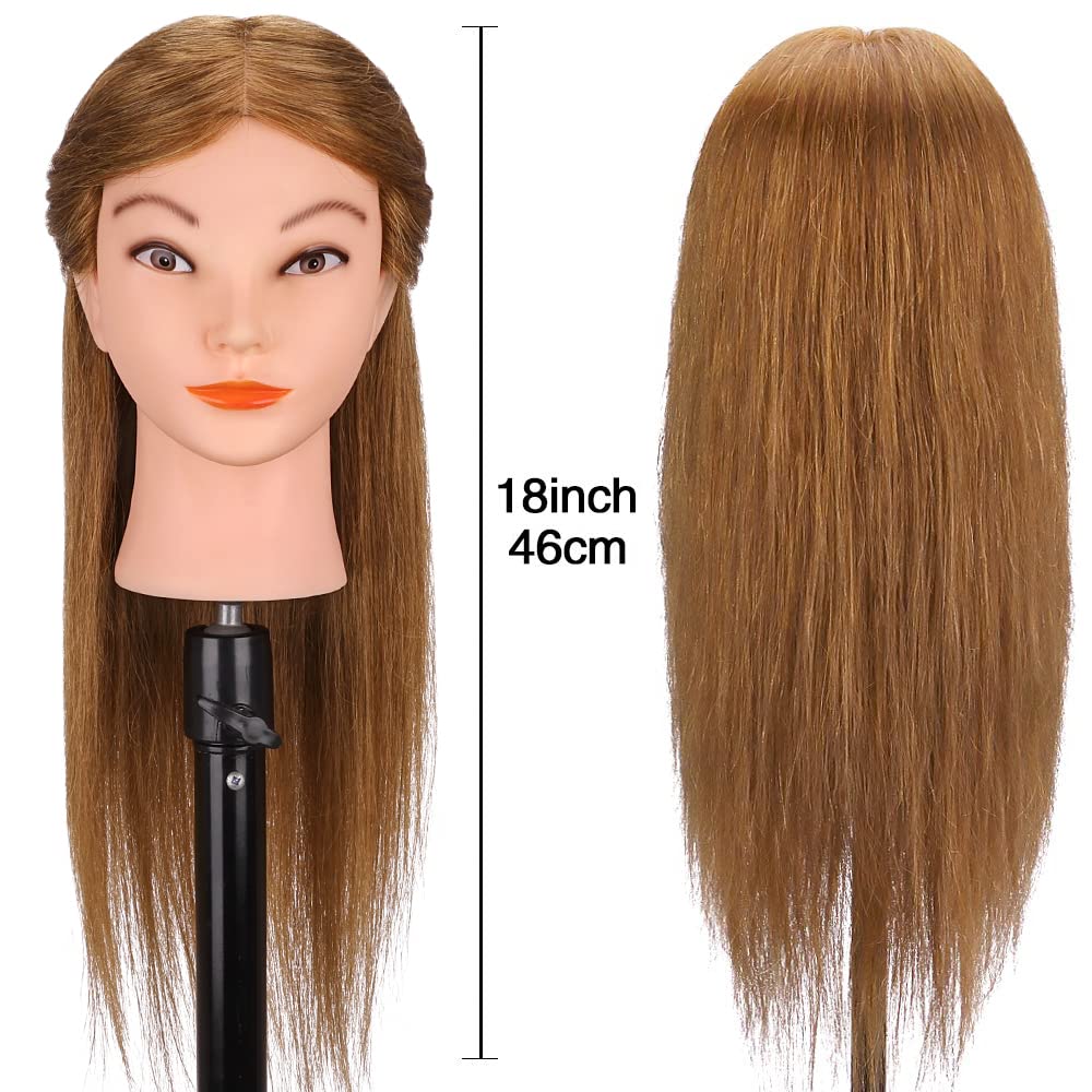TopDirect mannequin head featuring table clamp for secure studio use