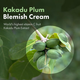 TOSOWOONG Kakadu Plum Blemish Cream for twice daily routine and daily care.