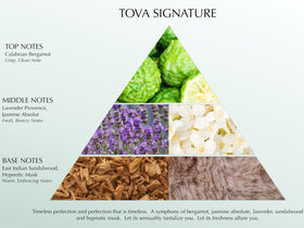 USA-made packaging of Tova Signature Body Velvet Lotion