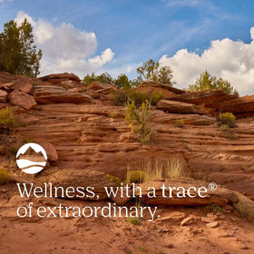 Absorption hint suggests quick-drying hydration for daily use.