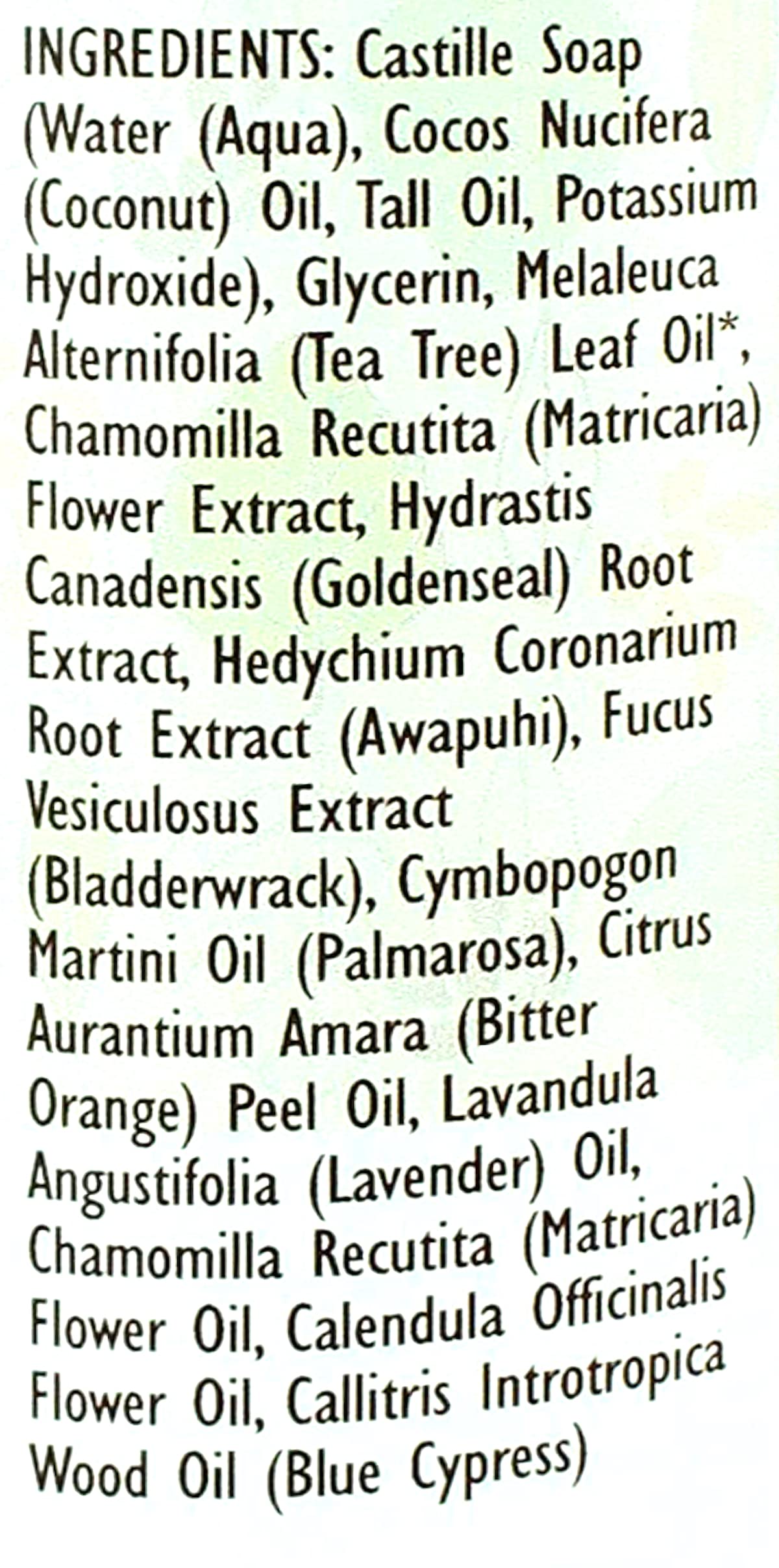 Trader Joe's Spa Face Wash close-up highlights tea tree oil and botanicals.