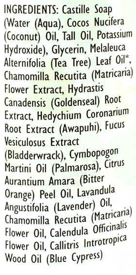 Trader Joe's Spa Face Wash close-up highlights tea tree oil and botanicals.