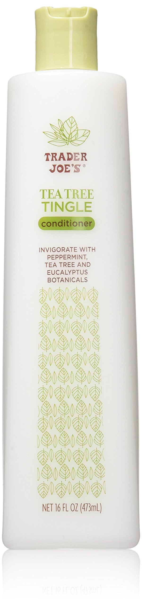 Trader Joe's Tea Tree Tingle Conditioner bottle offers refreshing peppermint cooling for hair