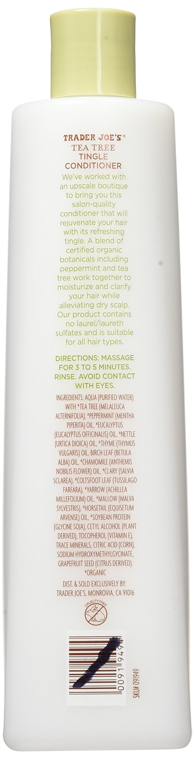 Trader Joe's Tea Tree Tingle Conditioner 2-pack packshot emphasizes value and aromatic refreshment