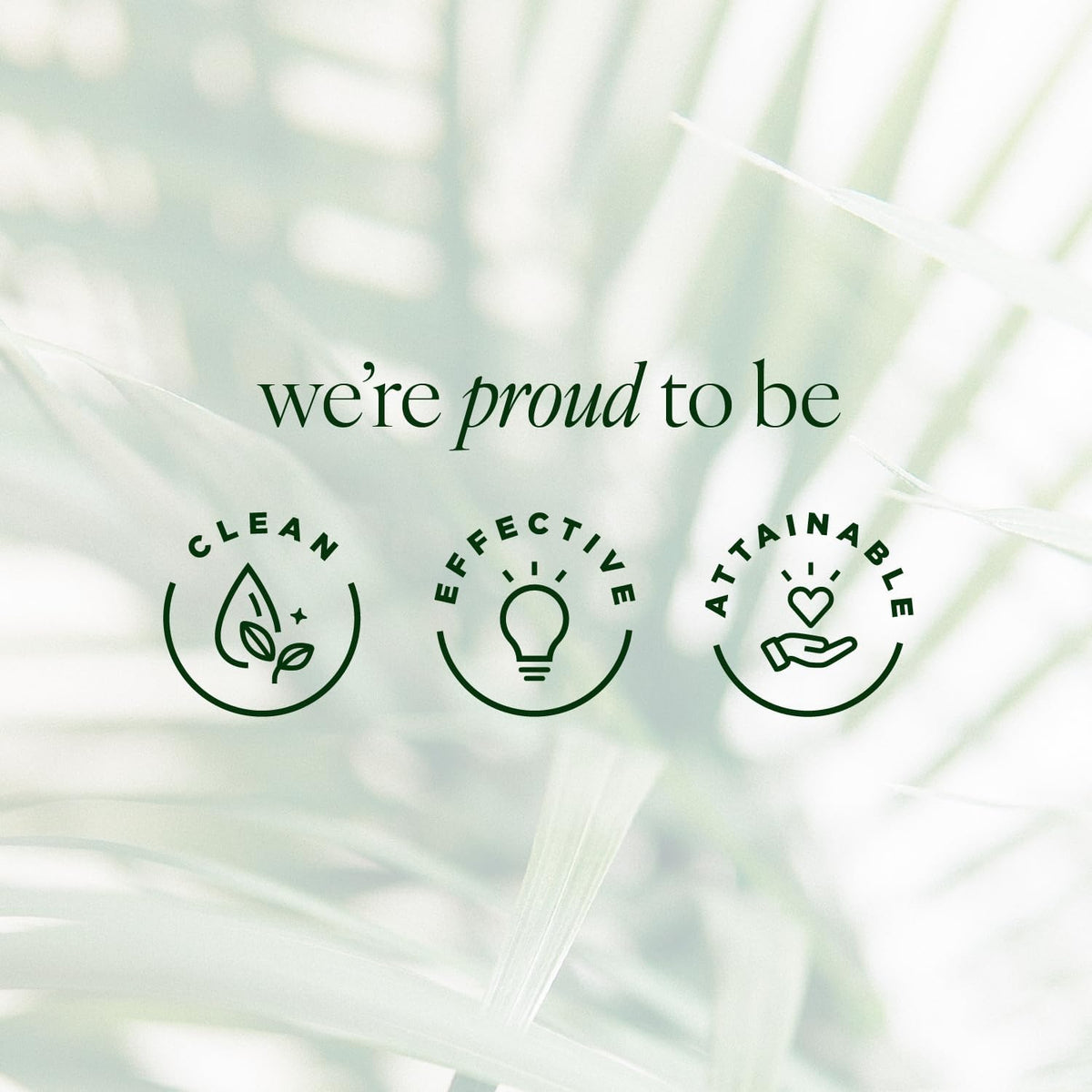 Tree of Life Beauty skincare duo packaging showing the facial and eye serums