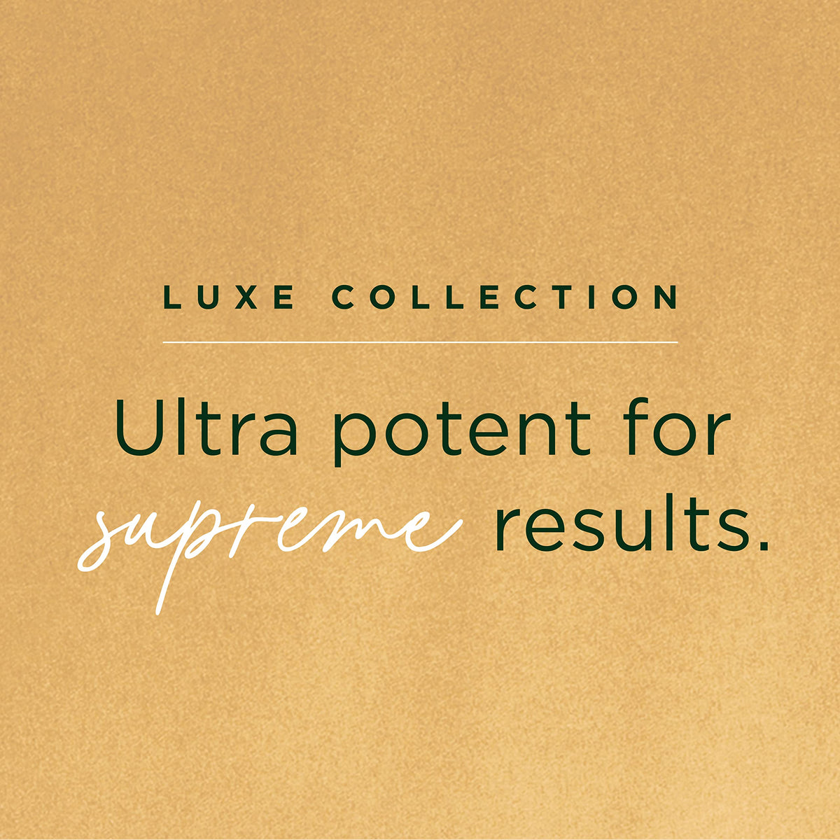 Tree of Life Beauty Luxe serums arranged on counter for a twice-daily routine.