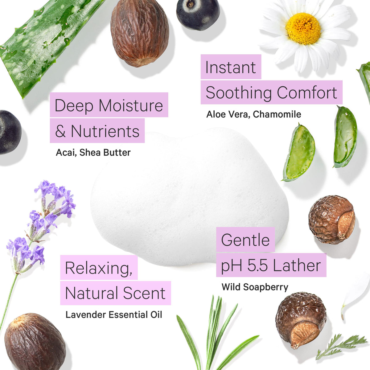 Tree To Tub face wash with organic aloe vera supports soothing hydration during cleansing.