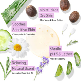 Ingredients spotlight: organic shea butter and aloe vera in Tree To Tub wash.