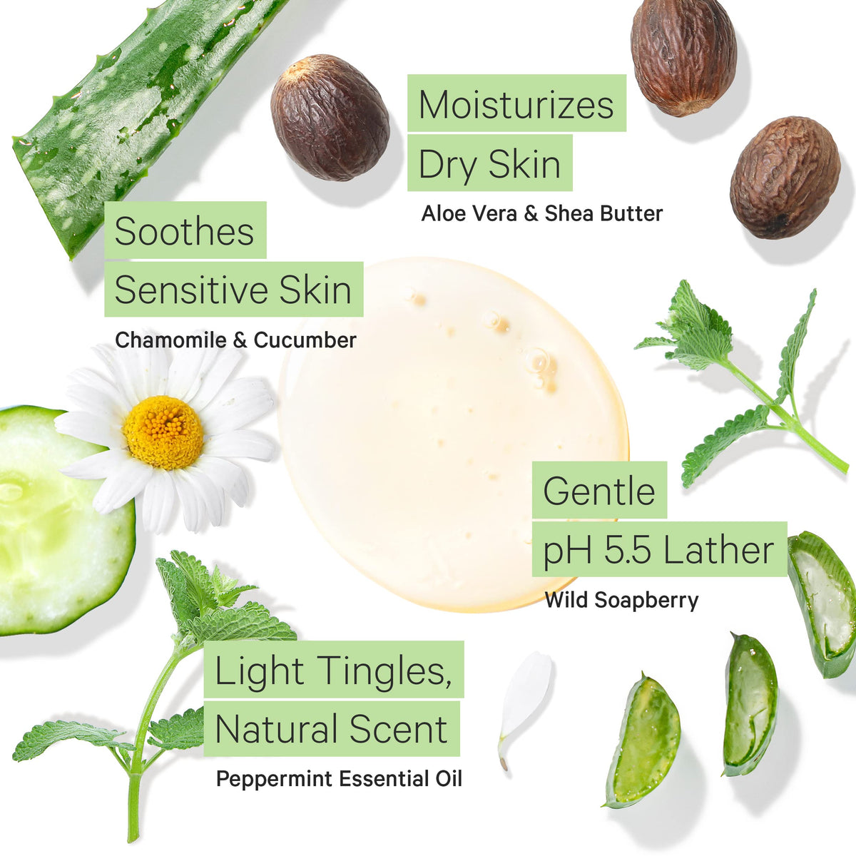 Tree To Tub Peppermint Body Wash natural peppermint aroma energizes shower time