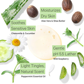 Tree To Tub Peppermint Body Wash natural peppermint aroma energizes shower time