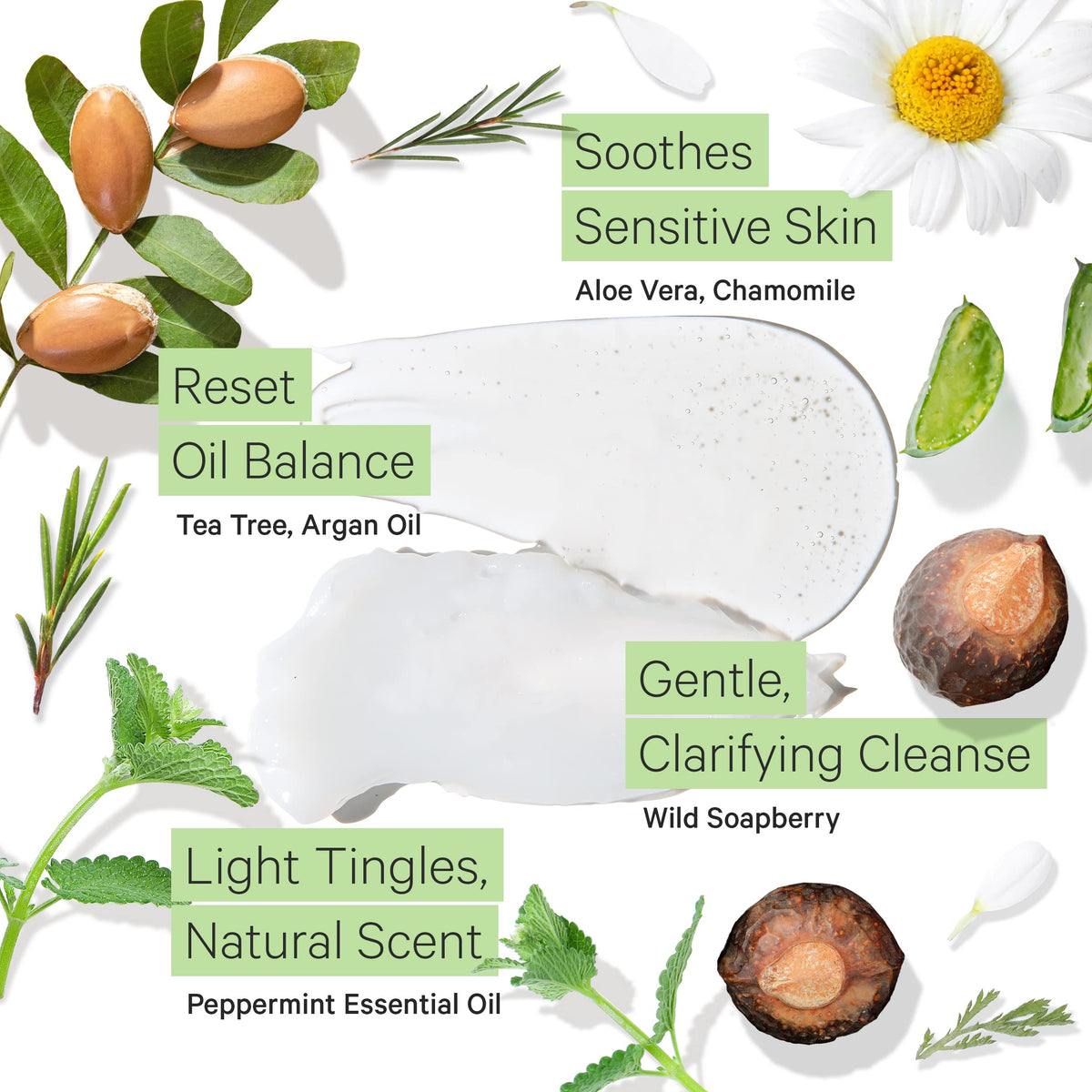 Tree To Tub shampoo pump bottle close-up with refreshing peppermint aroma