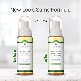 Tree To Tub soapberry ingredient spotlight for natural cleansing and balanced skin