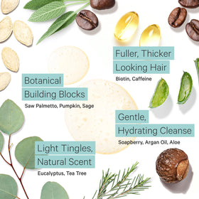 Tree To Tub Tea tree oil shampoo with invigorating scent for a refreshing scalp.