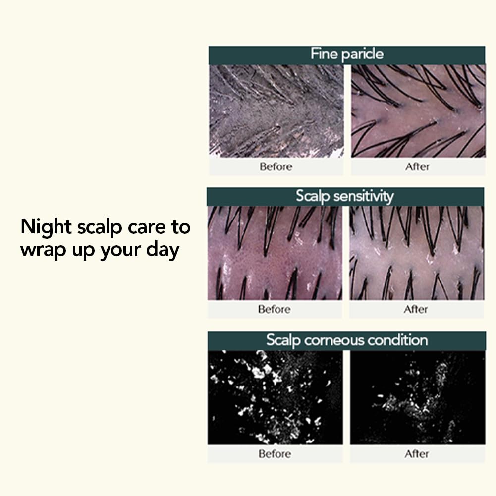 TREECELL Night Collagen Shampoo forest aroma enhances nightly routine.