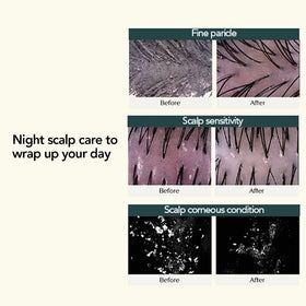 TREECELL Night Collagen Shampoo forest aroma enhances nightly routine.