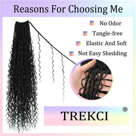 Trekci Goddess Locs 24 inch soft texture for comfortable wear.