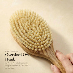 TRENFI brush helps slick back and tame flyaways with light, controlled strokes.