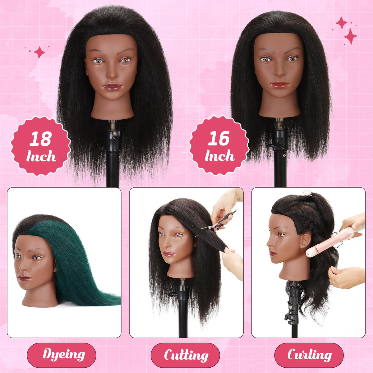 Treosida mannequin head includes styling tools for immediate use