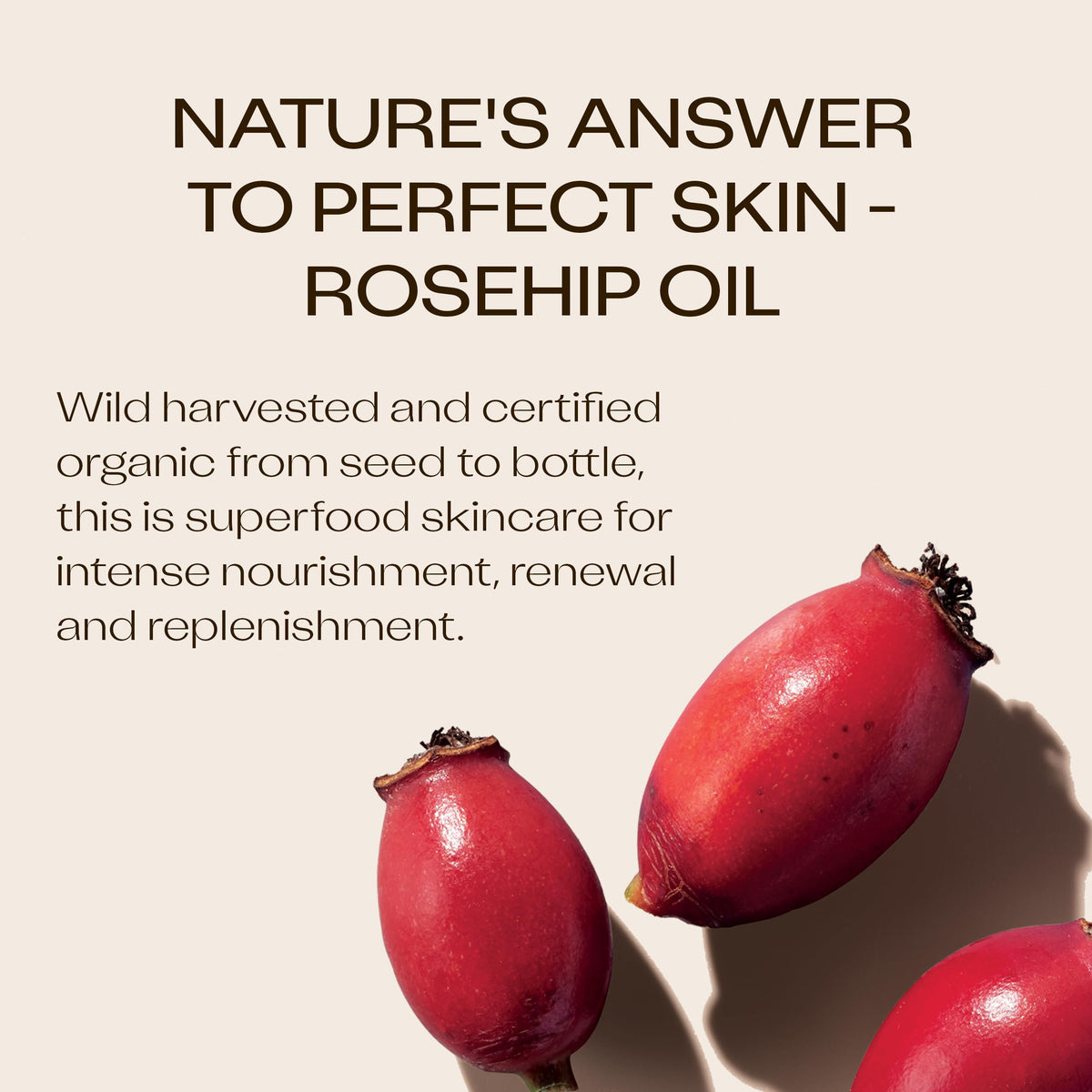 Trilogy Rosehip Oil body application shows easy spread for all-over care.
