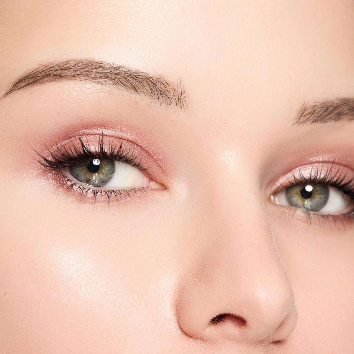 Trish McEvoy Bliss allover shadow on lid for radiant color