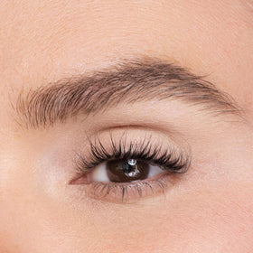 Trish McEvoy Glaze Eye Shadow Refill on lid for sheer wash or buildable color.