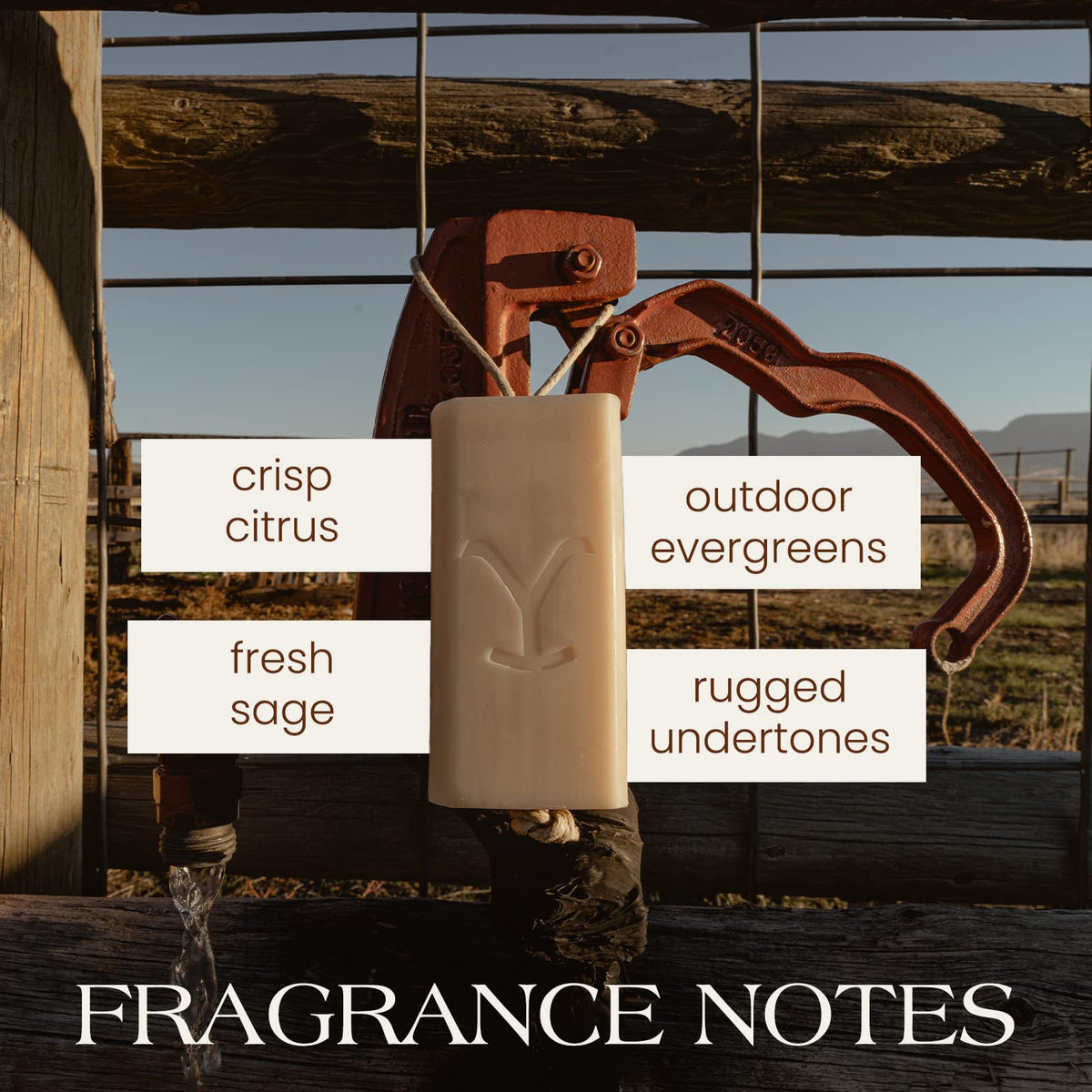 Tru Fragrance Beauty beef tallow cleanser texture reveals natural ingredients for thorough skin cleansing.