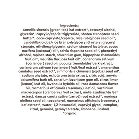 Illustration of natural ingredients and skin-supporting benefits