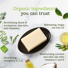 Truremedy Naturals Tea Tree Soap Bar face and body gentle cleansing.