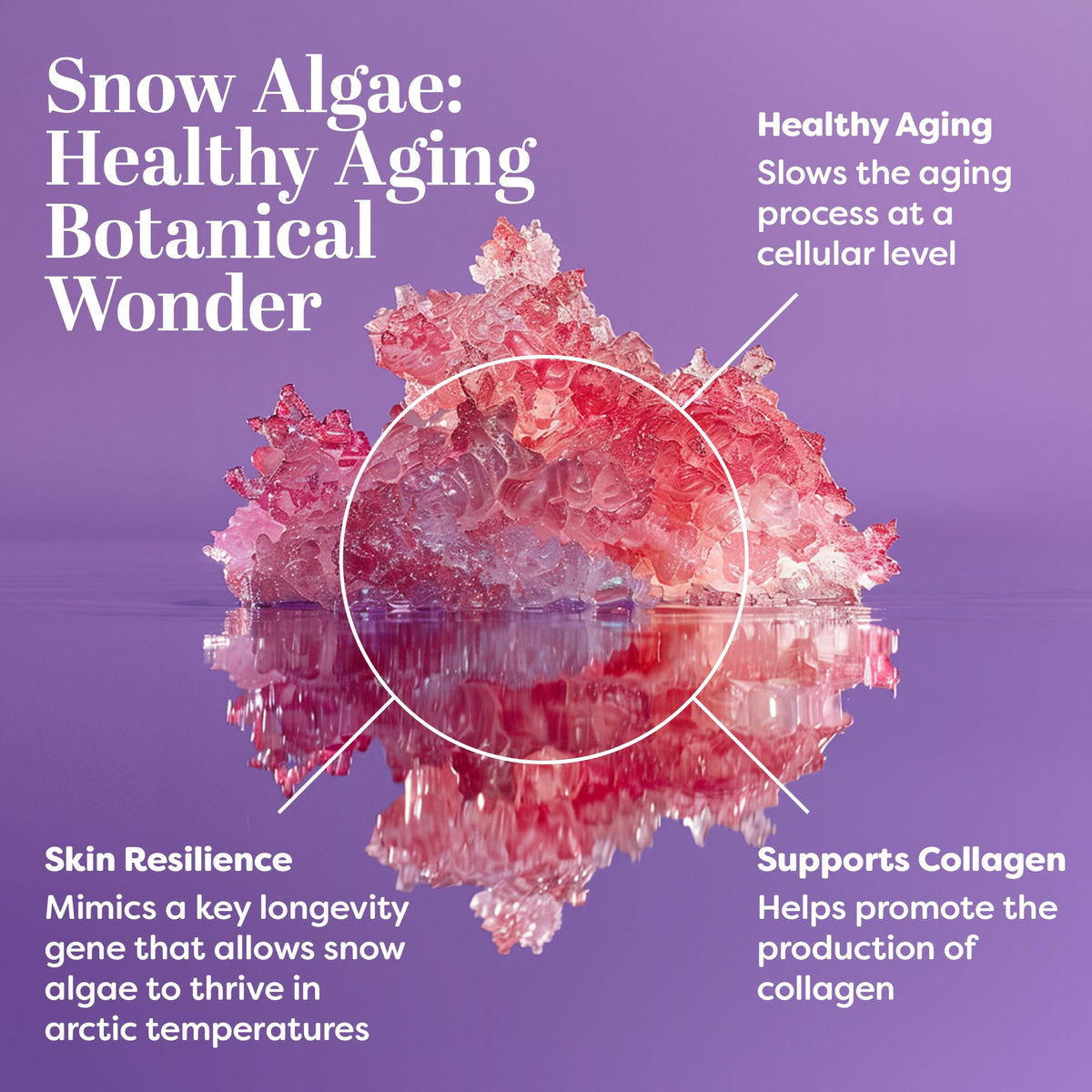 TruSkin Longevity Lingonberry Stem Cells image emphasizes antioxidant protection against blue light.