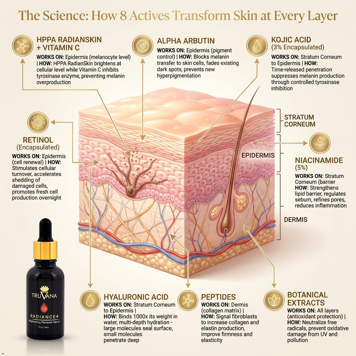 Truvana Hyaluronic Acid moisture matrix conveys deep hydration without a greasy feel