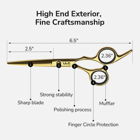 ULG salon kit image showing scissors and thinning shears for home or pro use