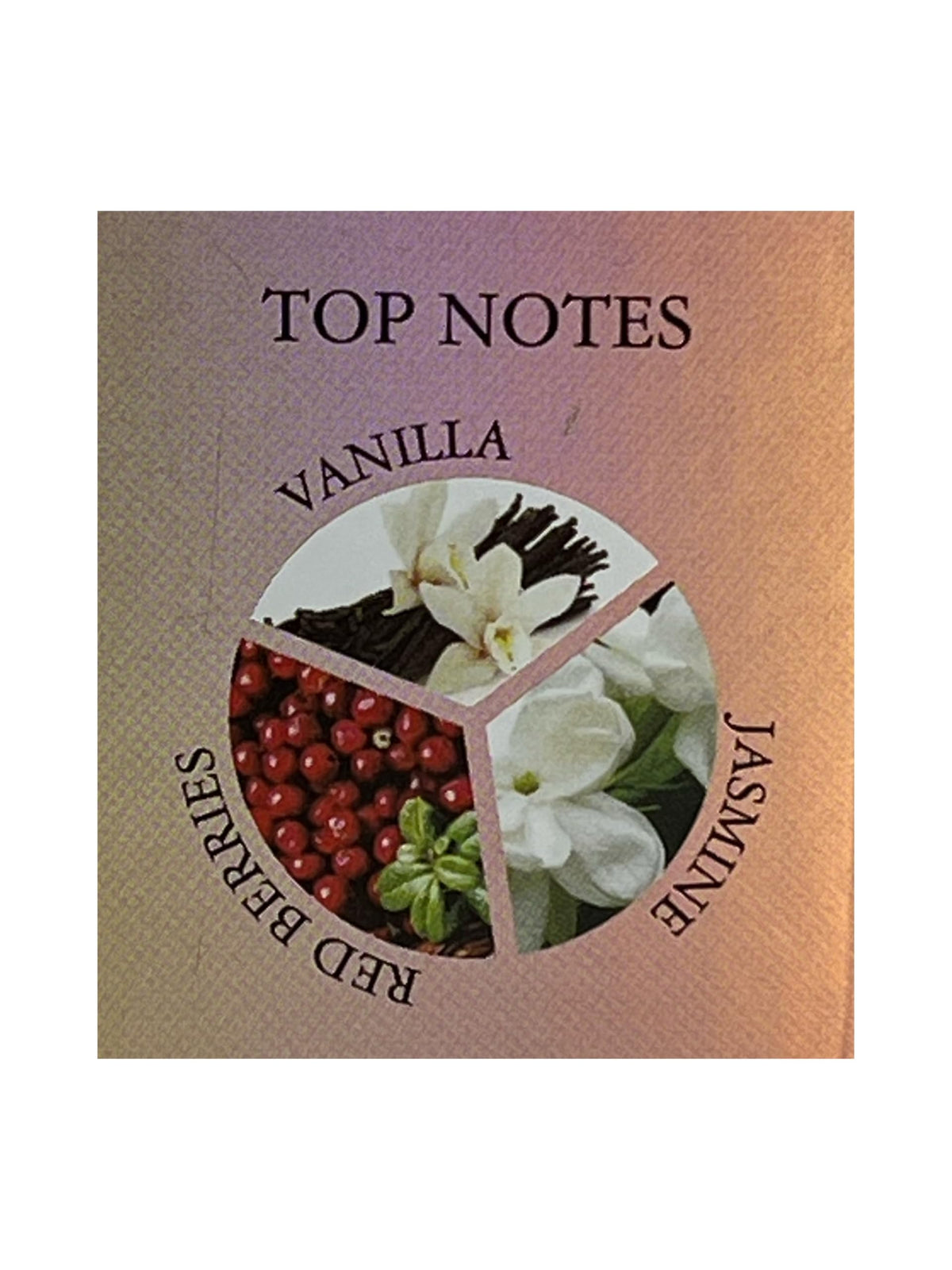 United Scents Shine Angel emblem details with embossed logo