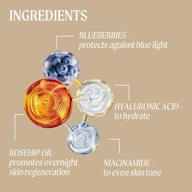 UPCIRCLE night cream with blueberries scene underscoring antioxidants